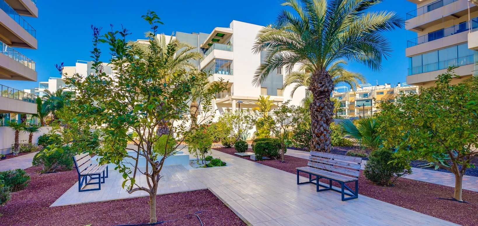 Sale - Apartment - Orihuela Costa - Costa Blanca