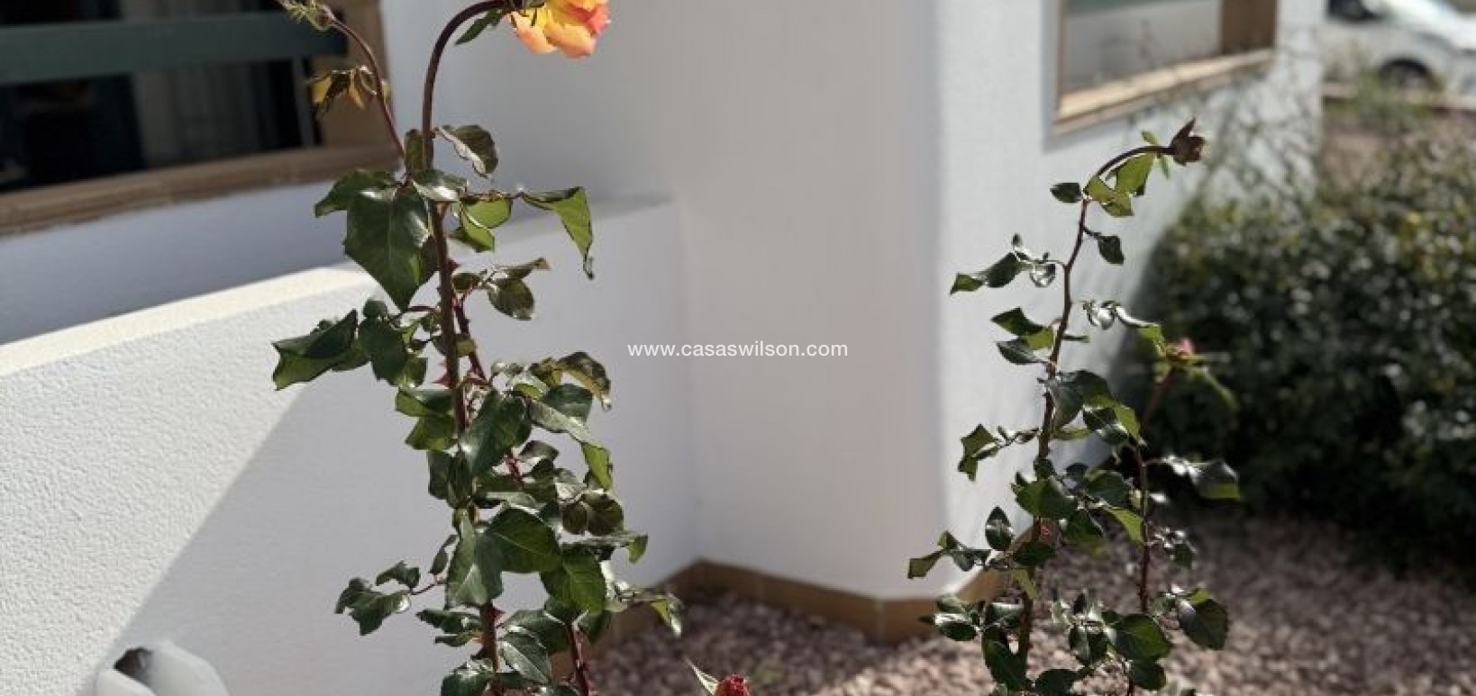 Sale - Appartement - Orihuela Costa - Costa Blanca