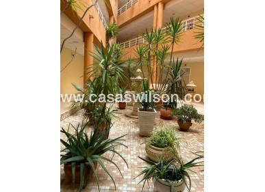 Sale - Apartment - San Miguel de Salinas - Pueblo 9