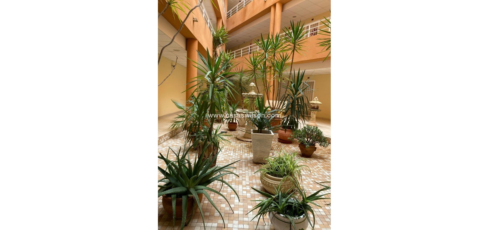 Sale - Apartment - San Miguel de Salinas - Pueblo 9