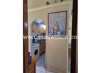 Sale - Bungalow - Torrevieja - Cabo Cervera