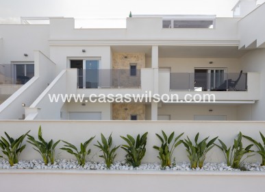 Sale - Apartment - San Miguel de Salinas - Inland