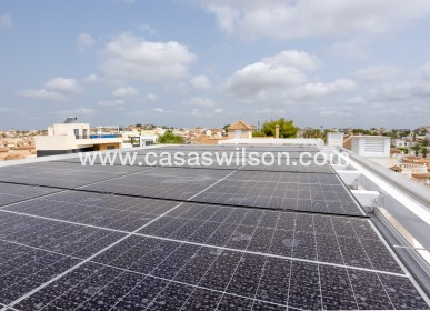 Sale - Apartment - San Miguel de Salinas - Inland