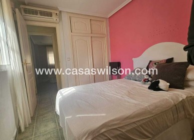 Venta - Chalet - Guardamar del Segura - Campomar