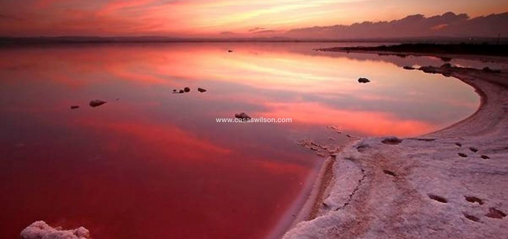 Sale - Apartment - Torrevieja - La Siesta