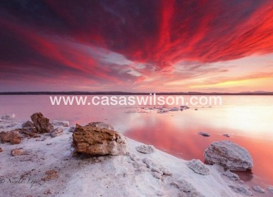 Sale - Apartment - Torrevieja - La Siesta