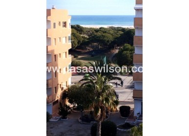 Sale - Apartment - Guardamar del Segura - Pinomar