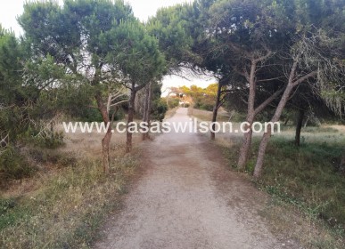 Sale - Apartment - Guardamar del Segura - Pinomar