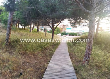 Sale - Apartment - Guardamar del Segura - Pinomar