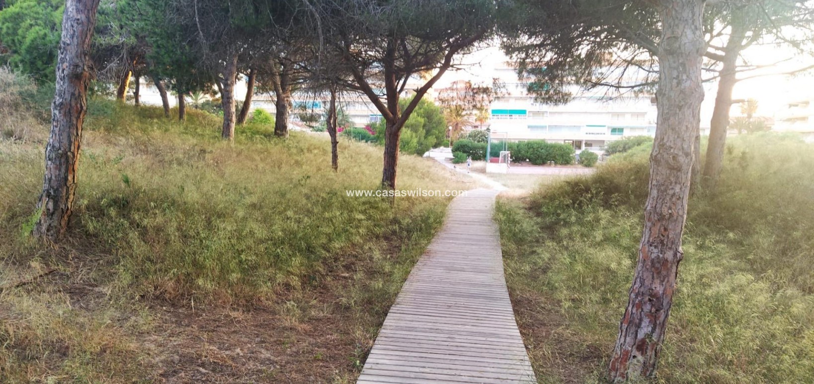 Sale - Apartment - Guardamar del Segura - Pinomar