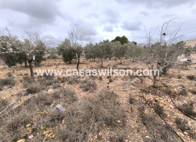 Sale - Country Property - La Romana - Inland