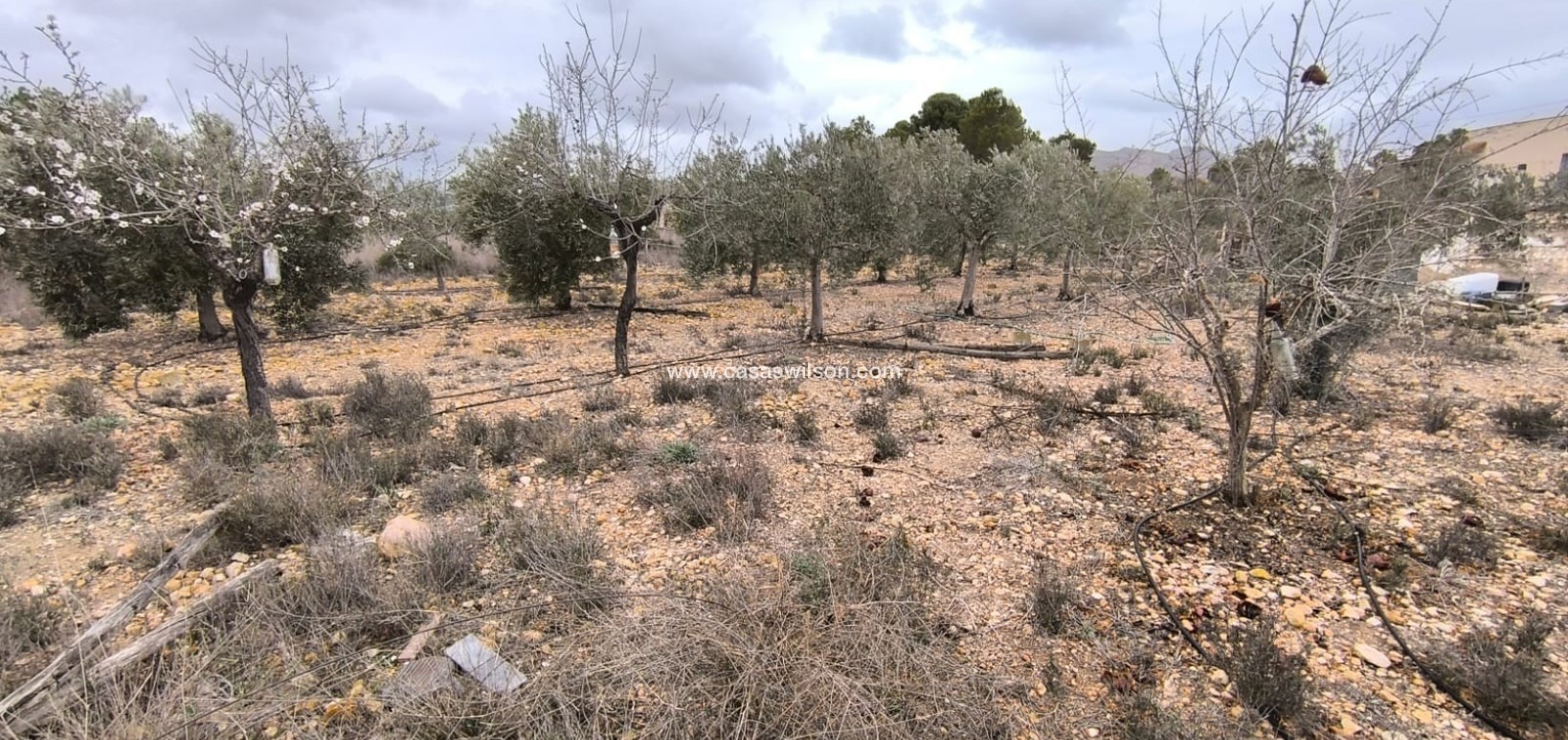 Sale - Country Property - La Romana - Inland