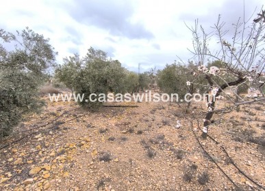 Sale - Country Property - La Romana - Inland