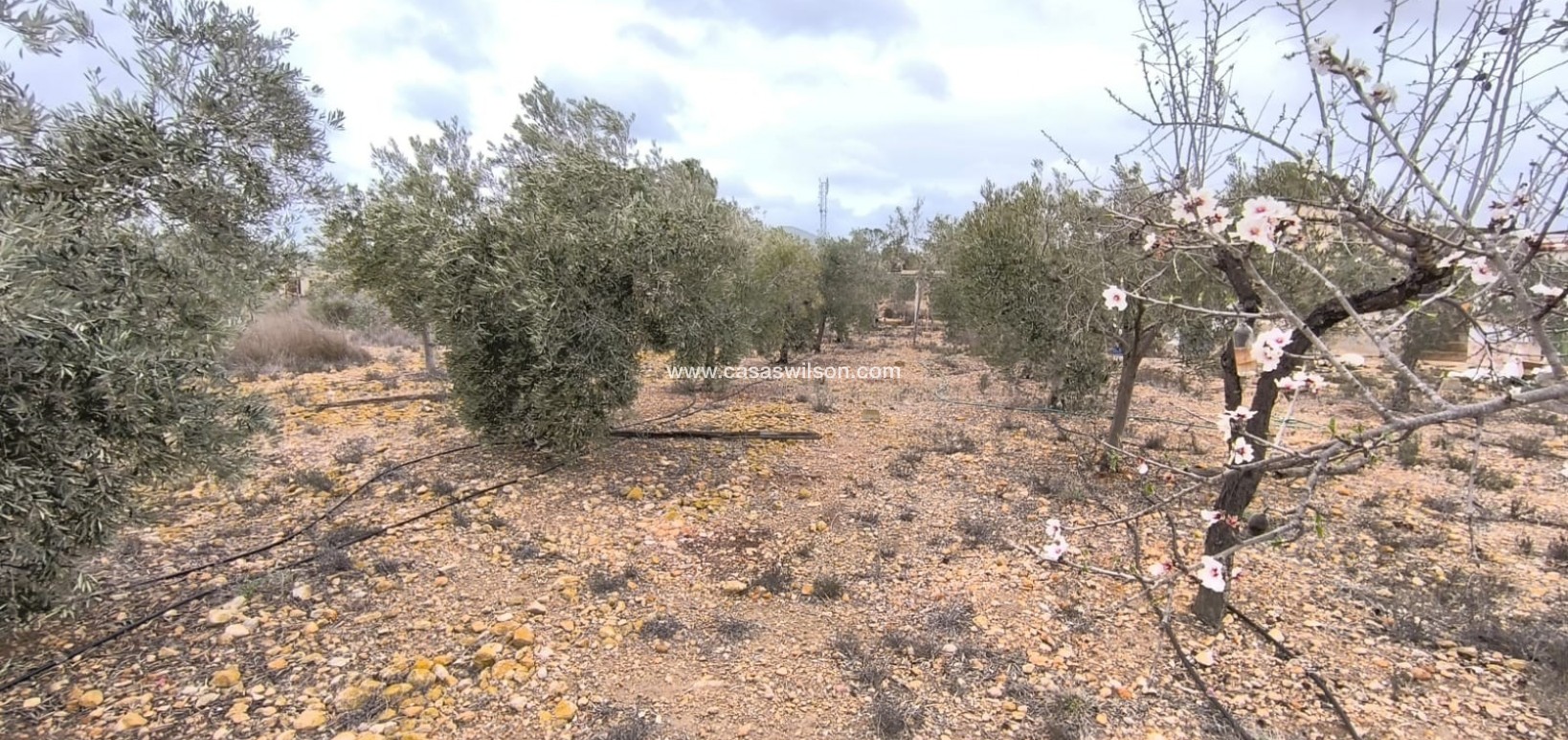 Sale - Country Property - La Romana - Inland