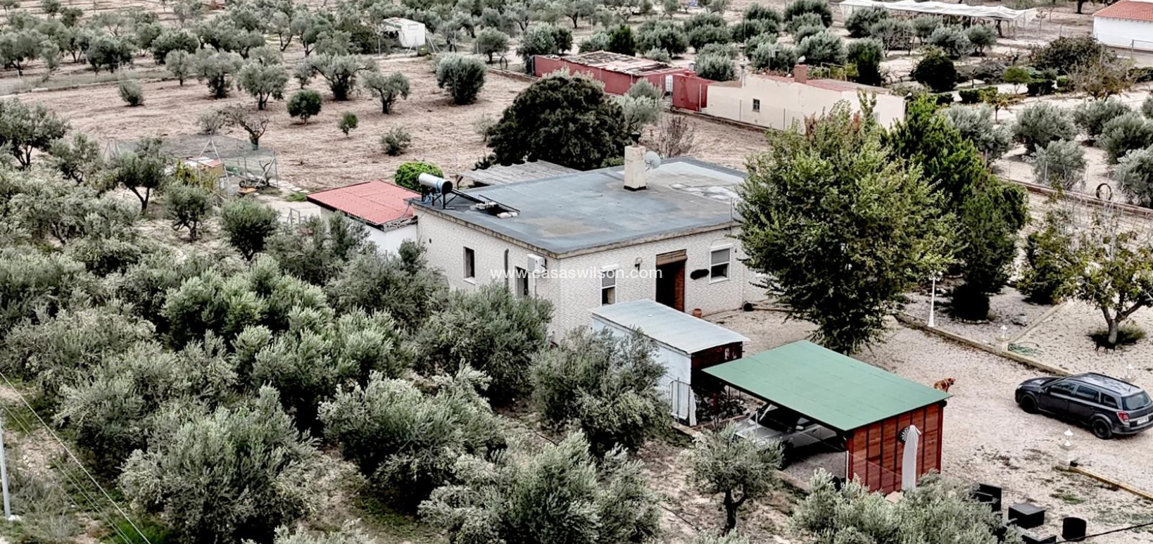 Sale - Villa - Salinas - Inland