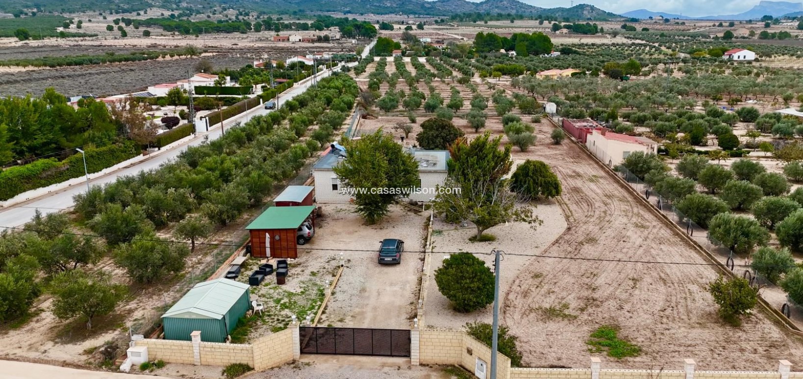 Sale - Villa - Salinas - Inland