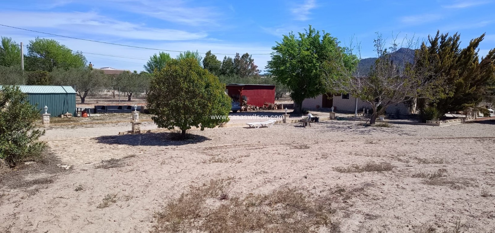 Sale - Villa - Salinas - Inland