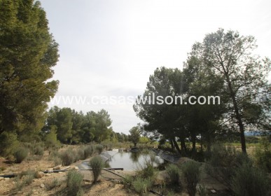 Sale - Country Property - Monóvar/Monóver - Inland