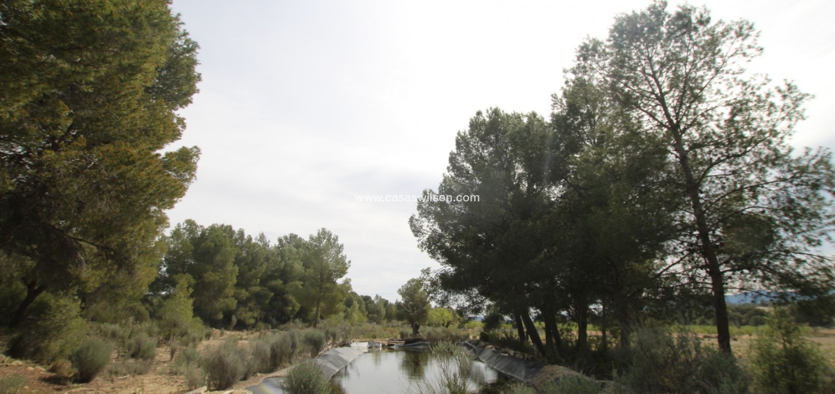 Sale - Country Property - Monóvar/Monóver - Inland