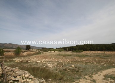 Sale - Country Property - Monóvar/Monóver - Inland