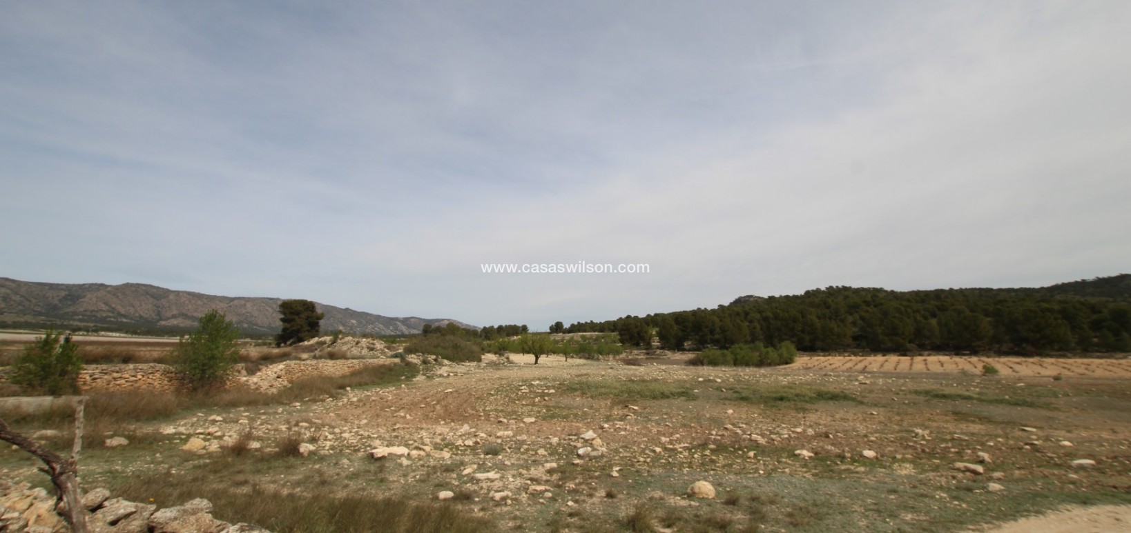 Sale - Country Property - Monóvar/Monóver - Inland
