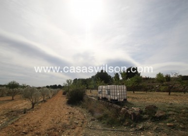 Sale - Country Property - Monóvar/Monóver - Inland