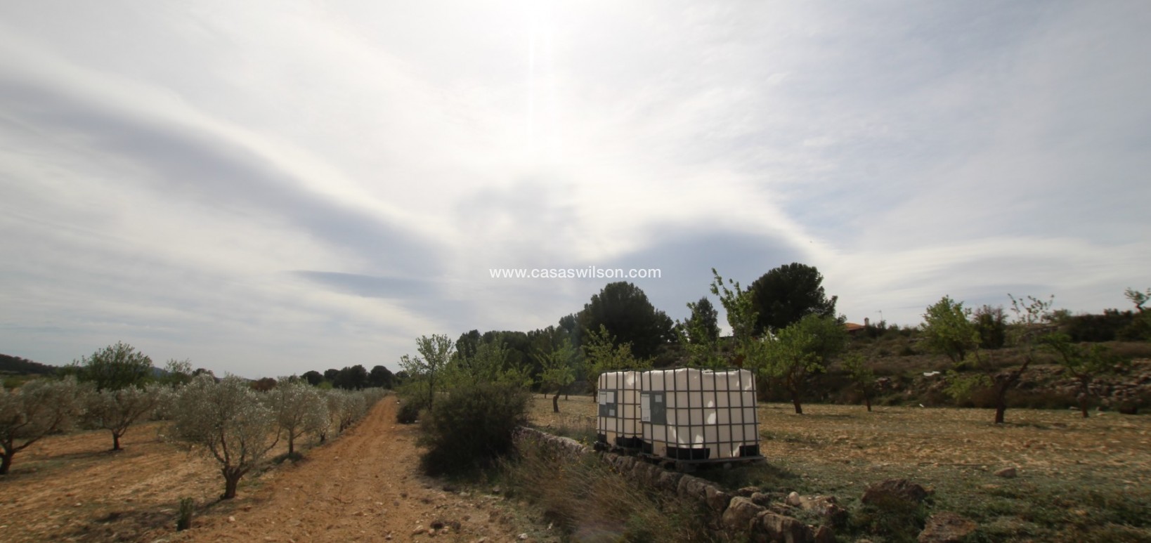 Sale - Country Property - Monóvar/Monóver - Inland