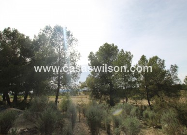 Sale - Country Property - Monóvar/Monóver - Inland