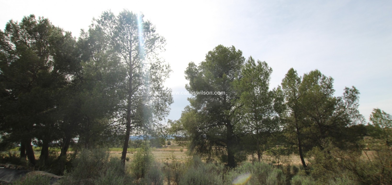 Sale - Country Property - Monóvar/Monóver - Inland