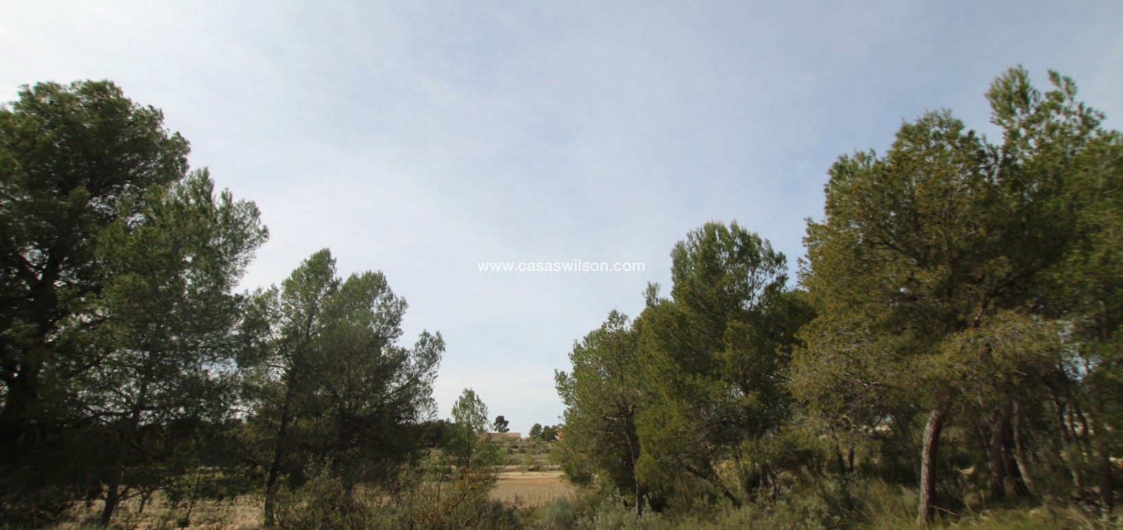 Sale - Country Property - Monóvar/Monóver - Inland