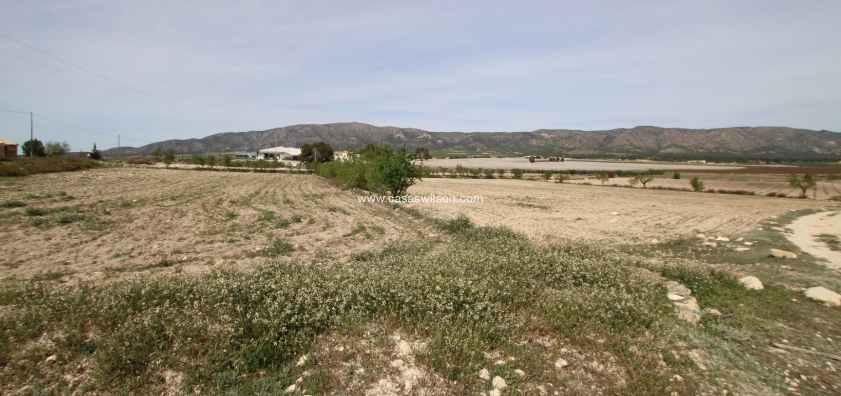 Sale - Country Property - Monóvar/Monóver - Inland