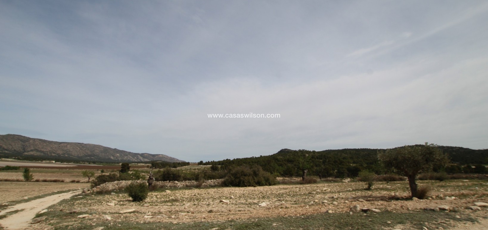 Sale - Country Property - Monóvar/Monóver - Inland