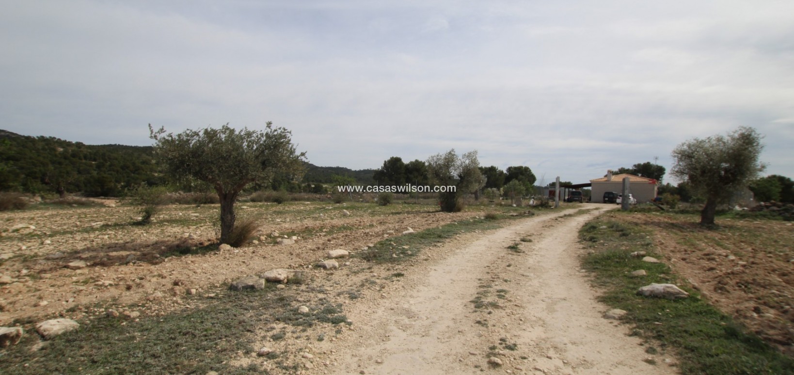 Sale - Country Property - Monóvar/Monóver - Inland