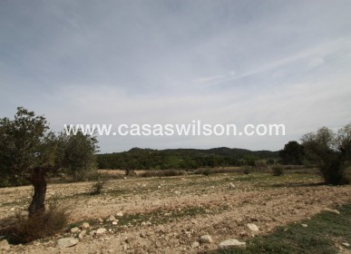 Sale - Country Property - Monóvar/Monóver - Inland