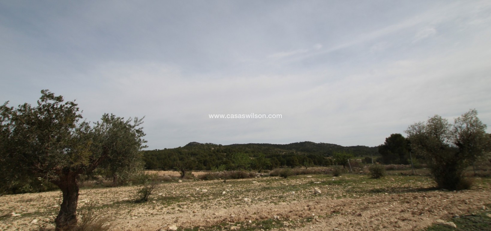 Sale - Country Property - Monóvar/Monóver - Inland