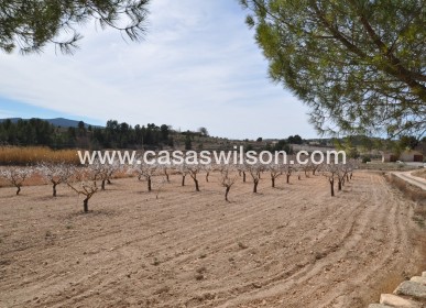 Sale - Country Property/Finca - Monóvar/Monóver - Inland