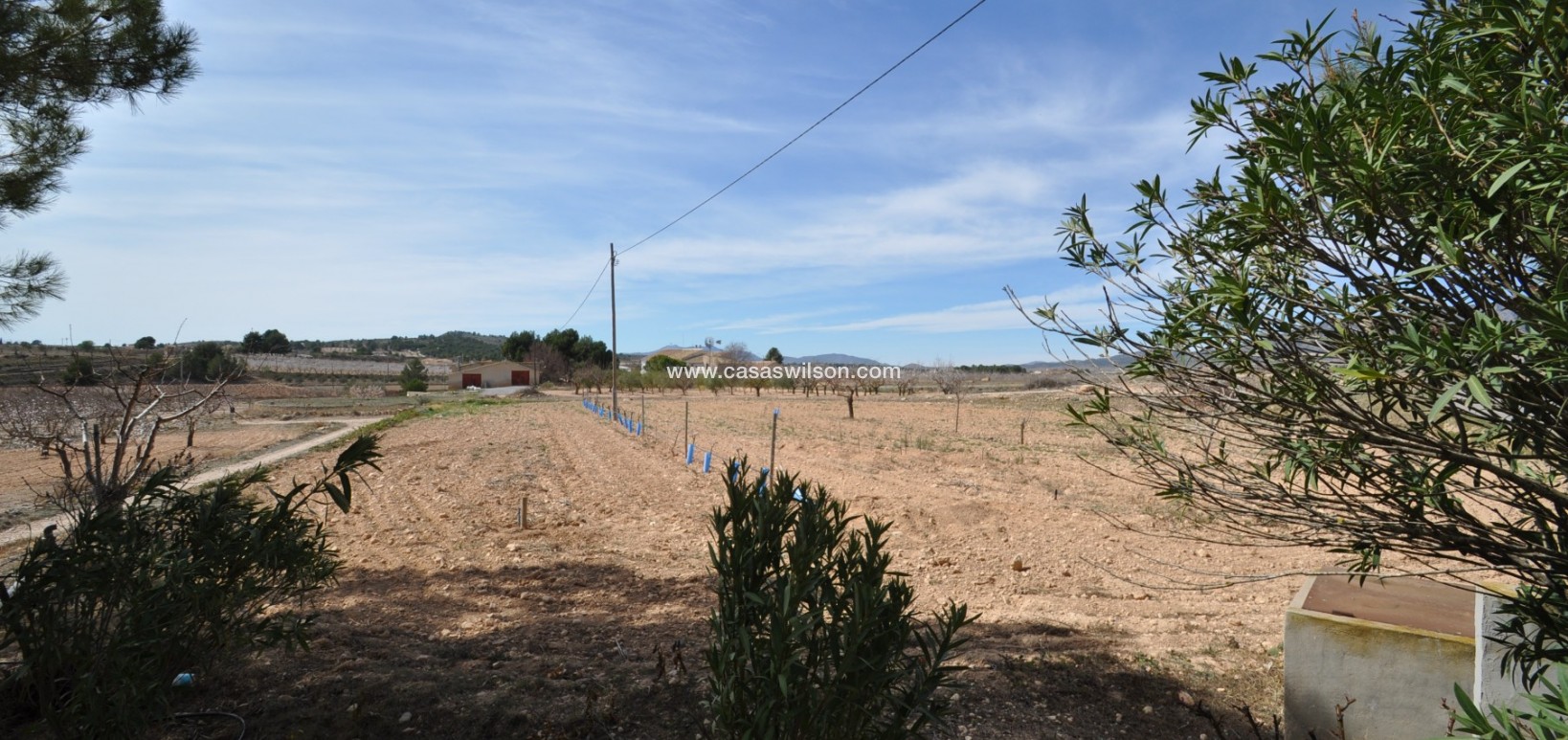 Sale - Country Property/Finca - Monóvar/Monóver - Inland