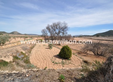 Sale - Country Property/Finca - Monóvar/Monóver - Inland