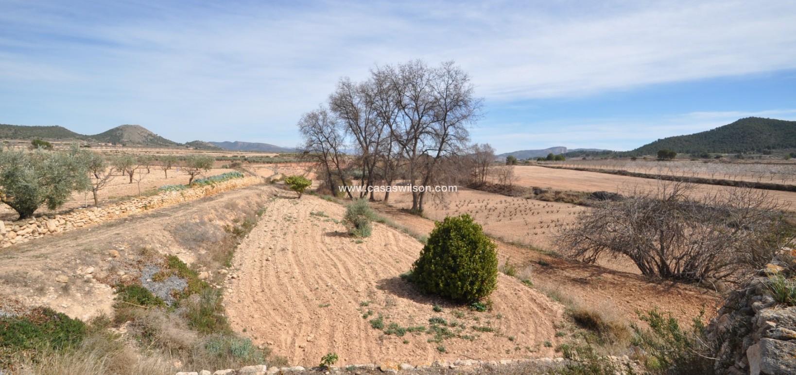 Sale - Country Property/Finca - Monóvar/Monóver - Inland
