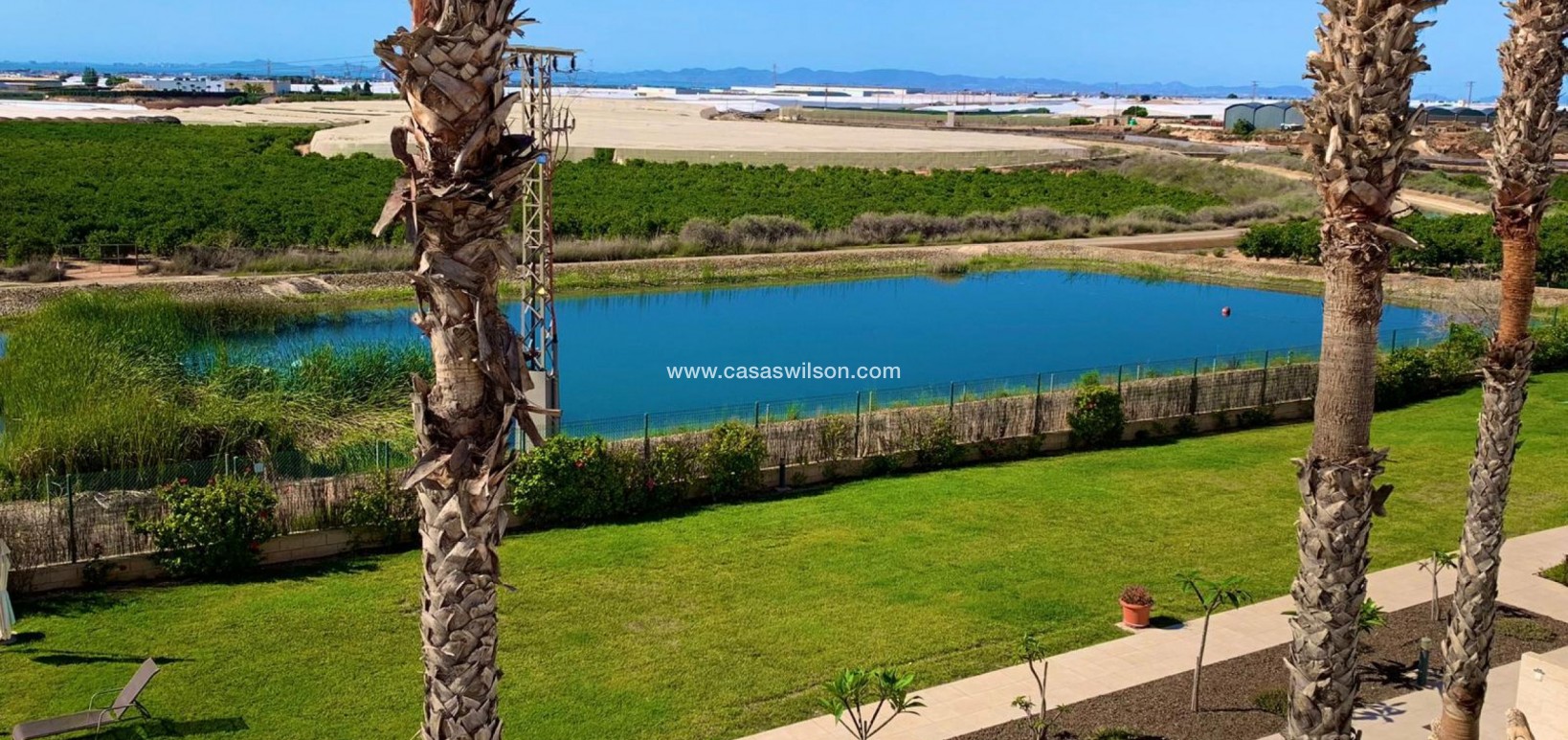 Sale - Apartment - Pilar de la Horadada - Costa Blanca