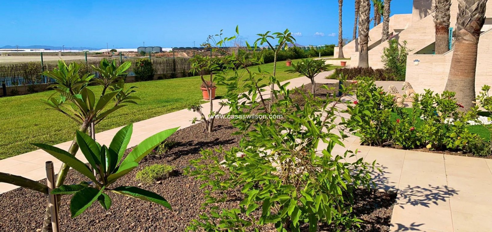 Sale - Apartment - Pilar de la Horadada - Costa Blanca