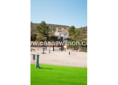 New Build - Townhouse - Fuente Alamo - LAS PALAS