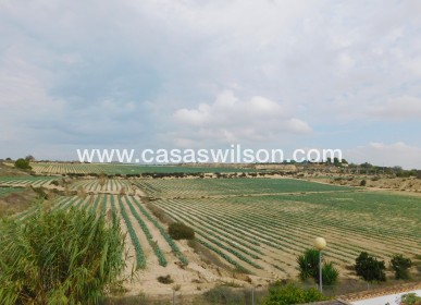 Sale - Villa - San Miguel de Salinas - San Miguel Salinas