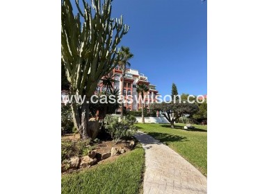 Sale - Apartment - Torrevieja - Aguas nuevas 2