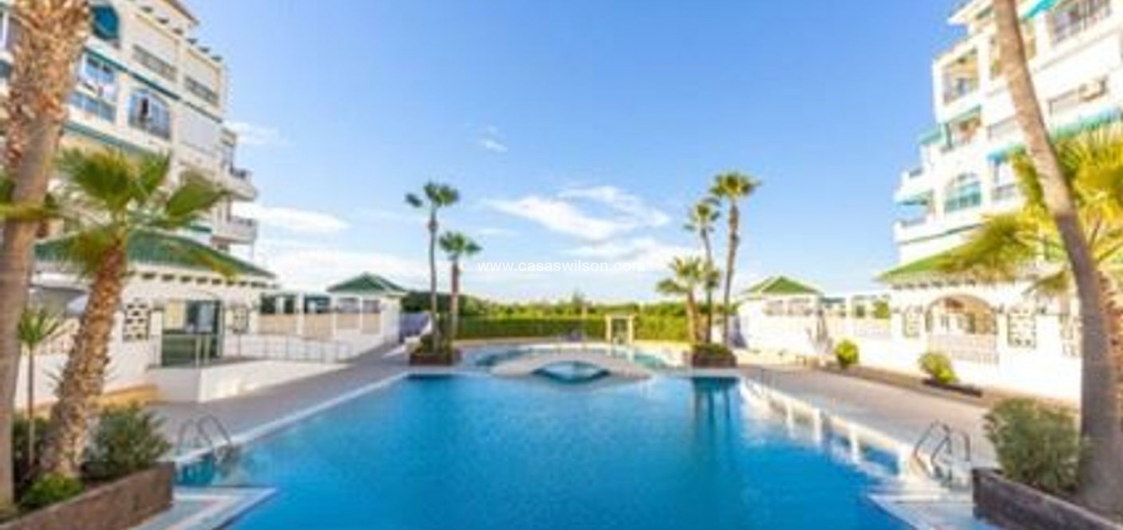 Sale - Apartment - Torrevieja - Costa Blanca