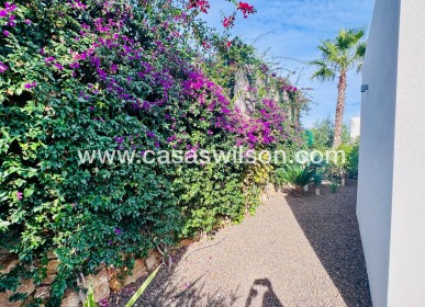 Venta - Chalet - Algorfa