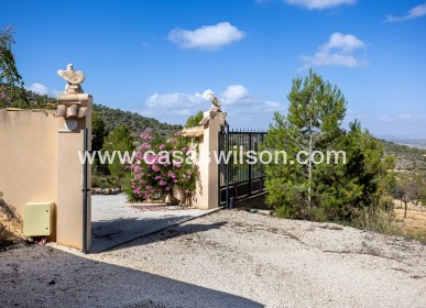 Sale - Independent villa - La Zarza - La Zarza Murcia
