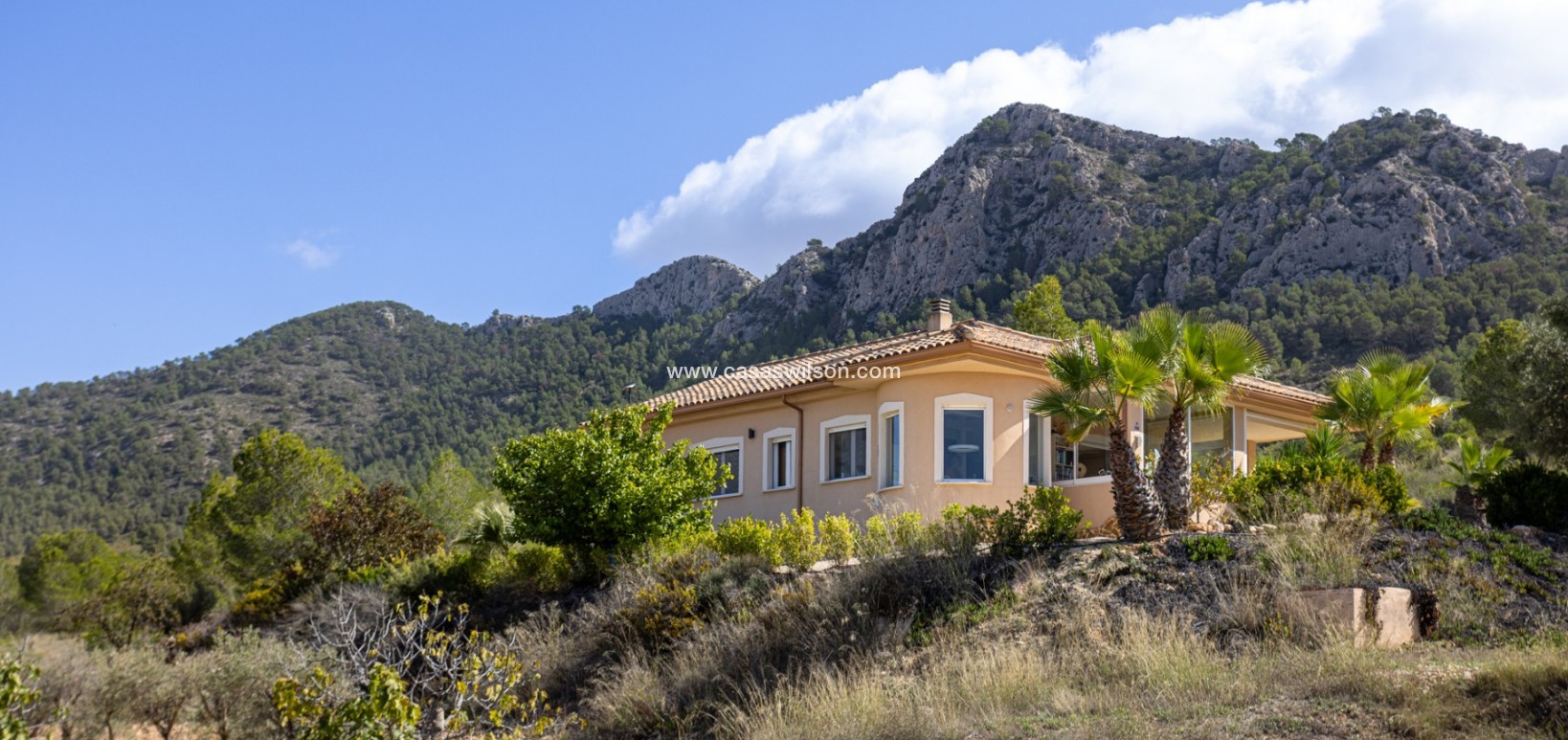 Sale - Independent villa - La Zarza - La Zarza Murcia