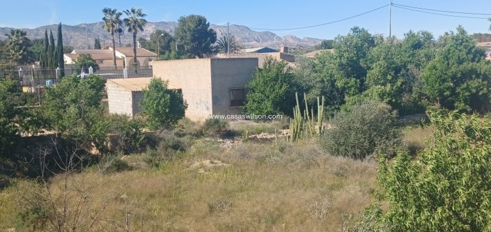 Sale - Country Property/Finca - Albatera - Inland
