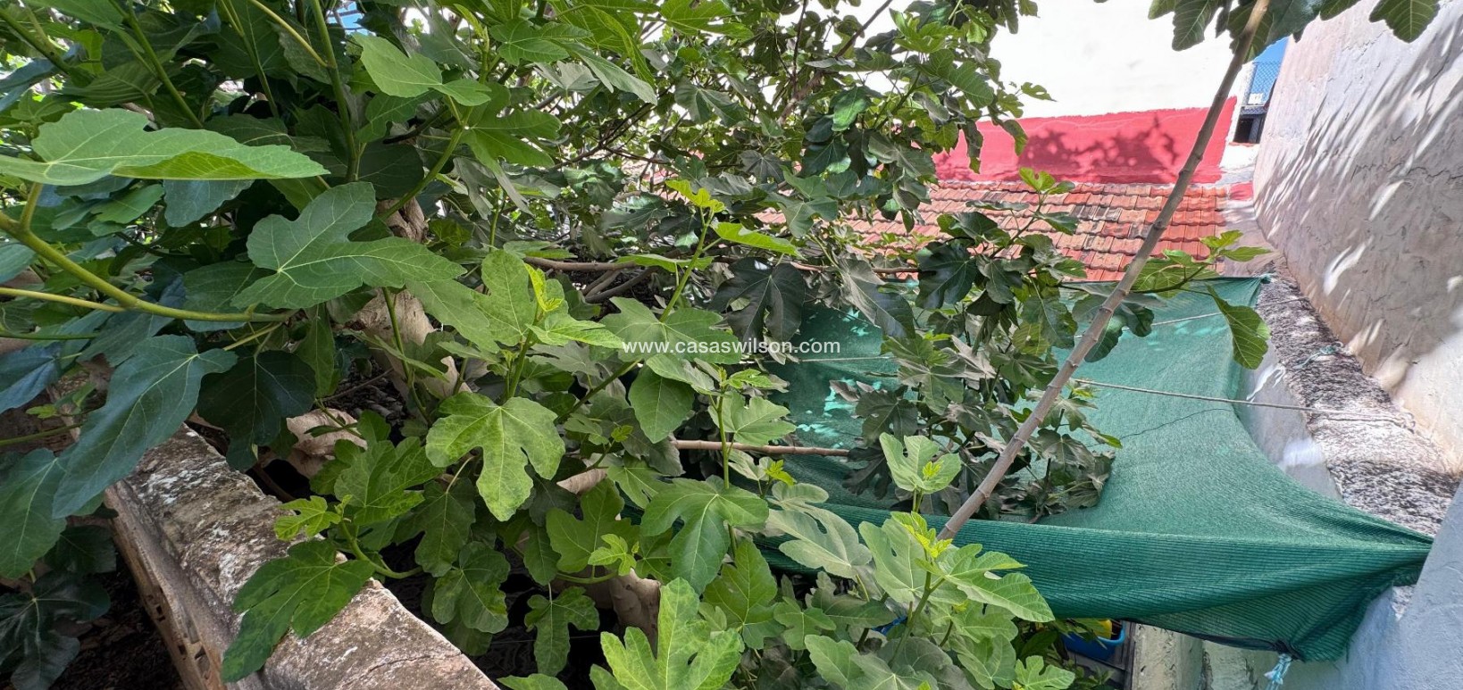 Sale - Townhouse - Benejúzar - Inland